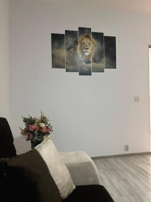 Apartament La Flo フネドアラ エクステリア 写真