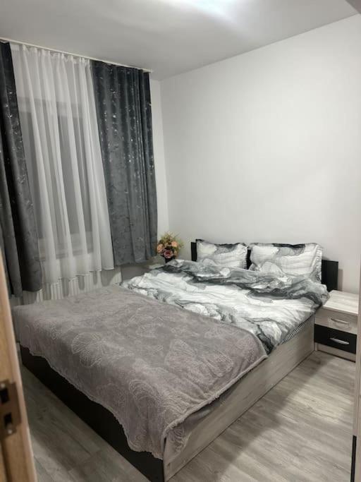 Apartament La Flo フネドアラ エクステリア 写真