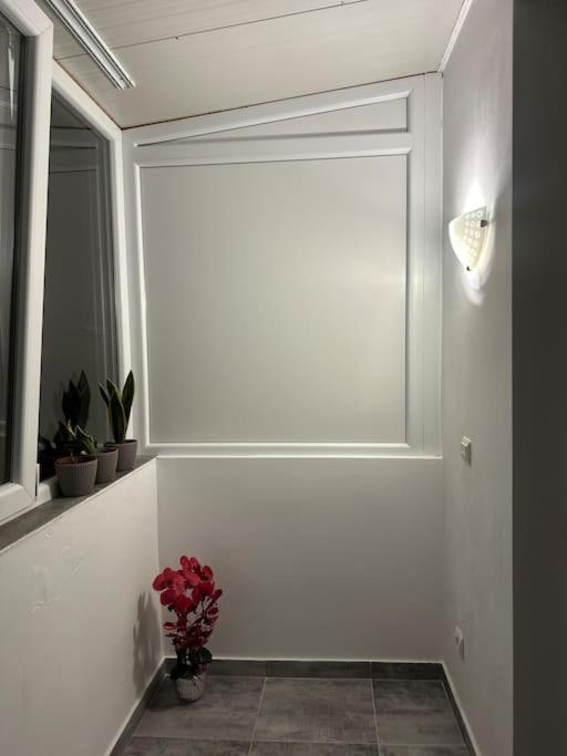 Apartament La Flo フネドアラ エクステリア 写真